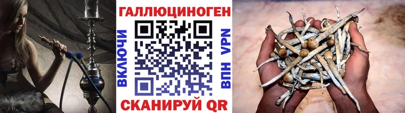 Галлюциногенные грибы прущие грибы Саратов